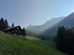 裏道を使ったおすすめのルートは？