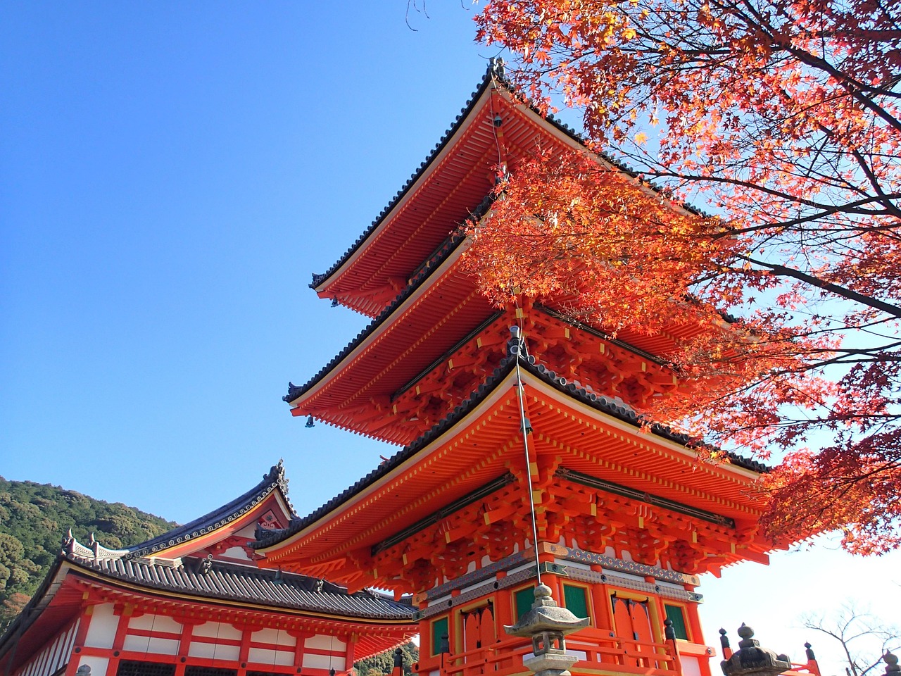 関東で楽しむ紅葉狩りのベストスポットは？