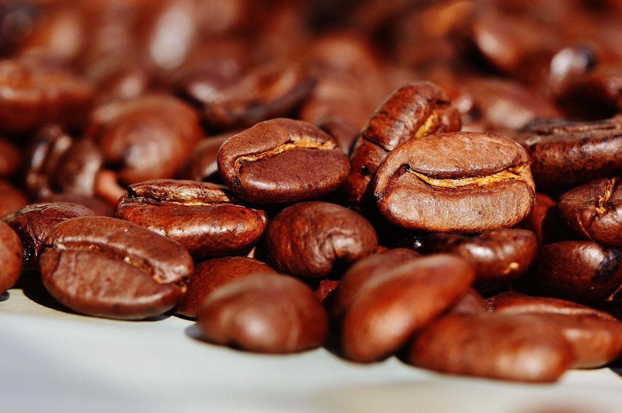 紅葉の豆知識を知って美しい秋を楽しむ方法は？