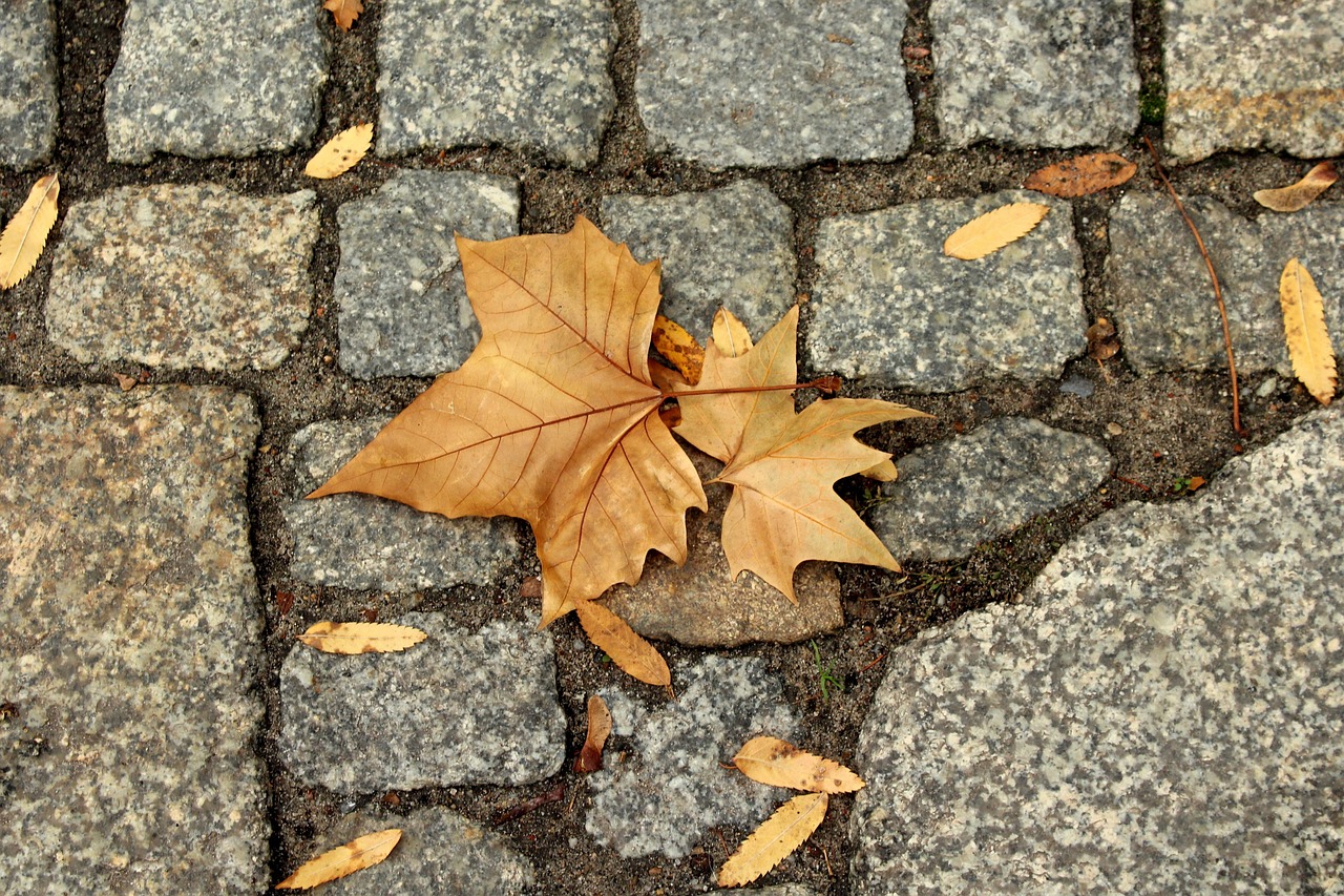 紅葉狩りに最適な11月の服装は？