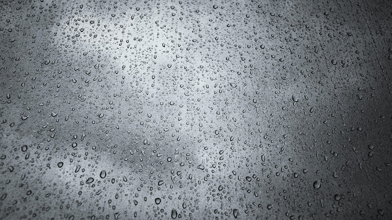 雨の日の紅葉を楽しむためのおすすめの楽しみ方は？
