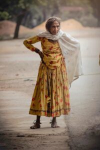 高齢者向けの紅葉ツアーでおすすめのスポットは？