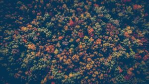 偕楽園で撮影する紅葉の美しい写真スポットは？