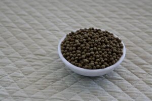 紅葉狩りで混雑が苦手な人におすすめの楽しみ方は？