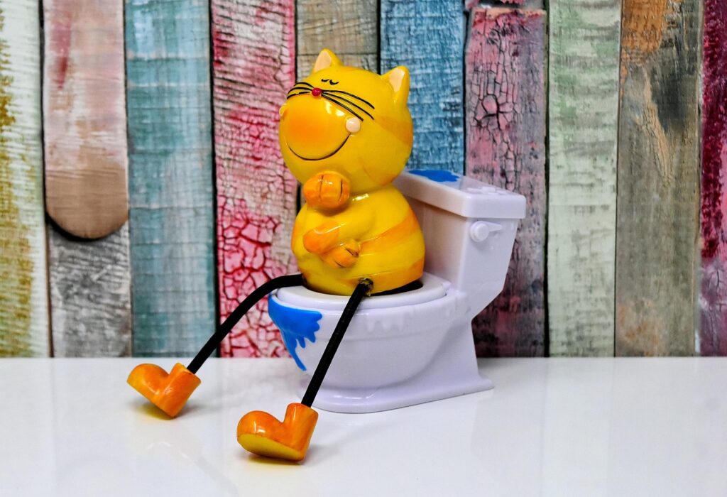 紅葉狩りを楽しむためのトイレが近いコースはどこですか？