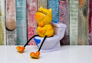 紅葉狩りを楽しむためのトイレが近いコースはどこですか？