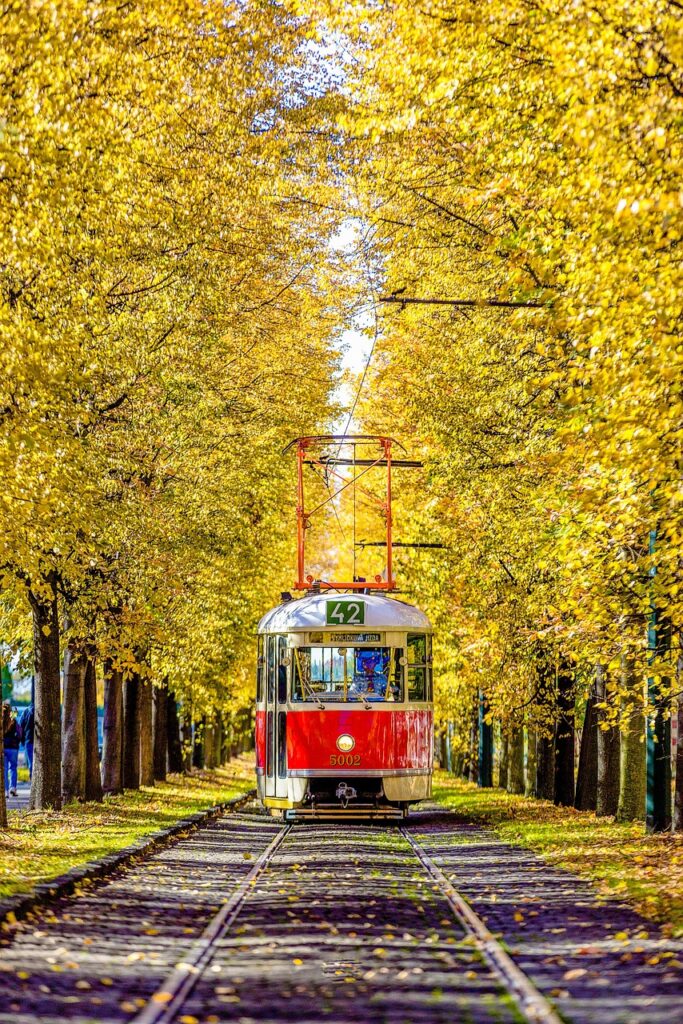 紅葉狩りの交通アクセスはどう確認すればいい？