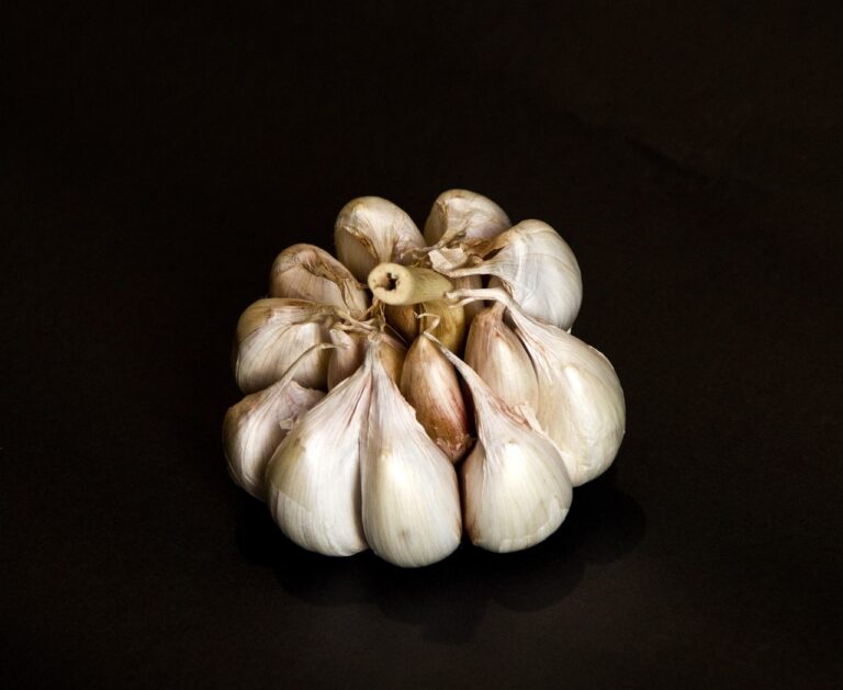 紅葉狩りの料金相場はどれくらい？