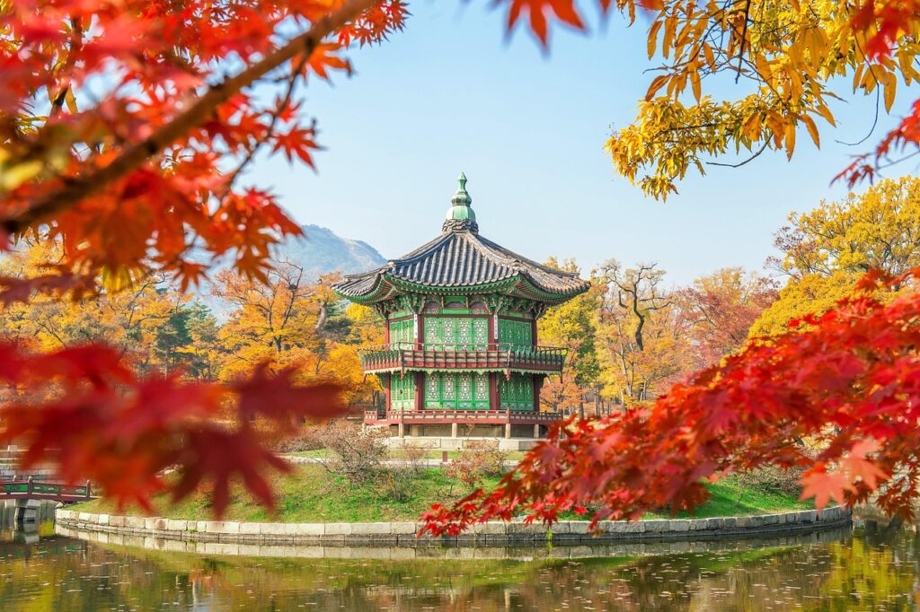 宮ヶ瀬の紅葉が楽しめる見頃の時期はいつですか？