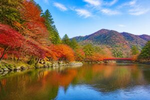 六義園の紅葉が混雑する時期はいつですか？