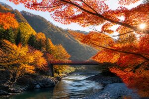 新宿御苑の紅葉が見頃を迎える時期はいつですか？