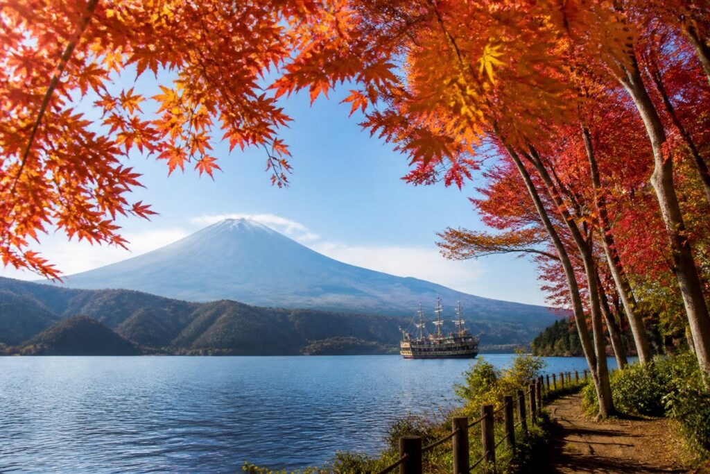 新宿御苑の紅葉の見頃はいつですか？