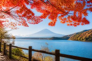 紅葉狩りでのドローン撮影に関するルールは？