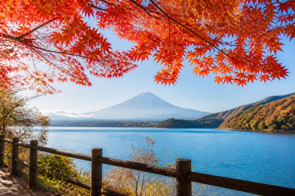 ベビーカーで行ける紅葉スポットはどこですか？