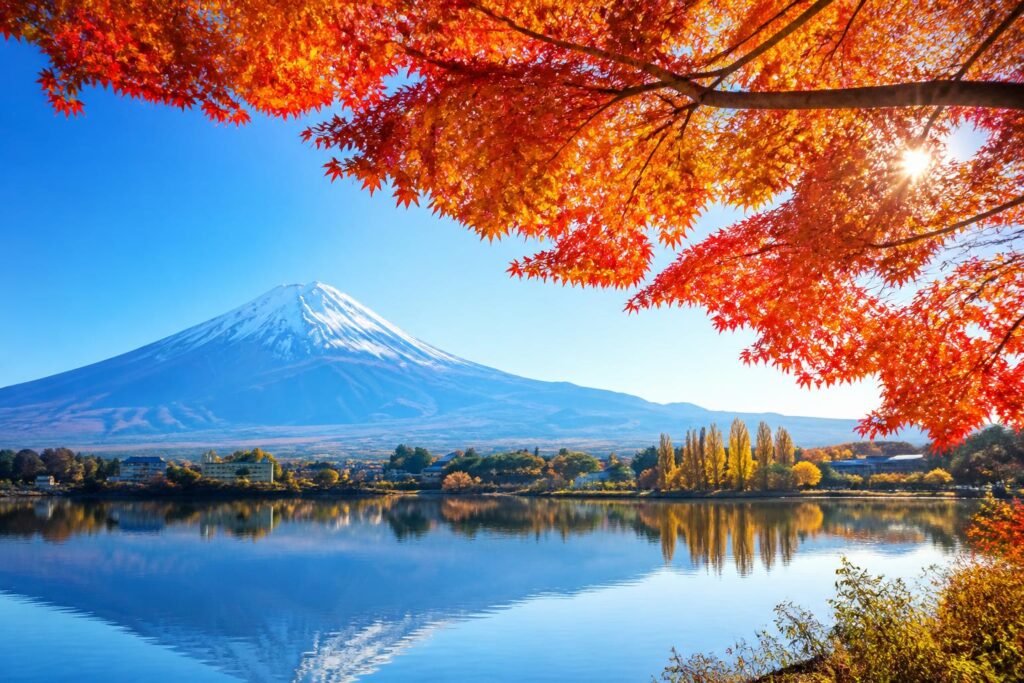雨の日の紅葉を楽しむためのおすすめの楽しみ方は？