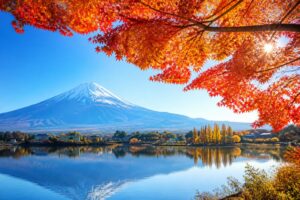 紅葉狩りを混雑しない時間に楽しむためのコツは？