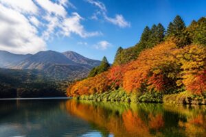 紅葉狩りの人気スポットはどこ？