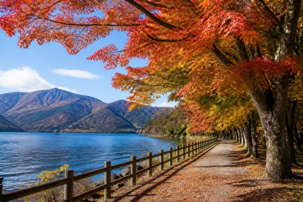 関東の紅葉狩りにおすすめのスポットは？