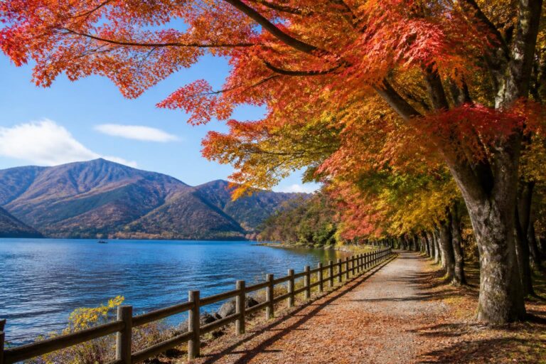 関東の紅葉狩りにおすすめのスポットは？