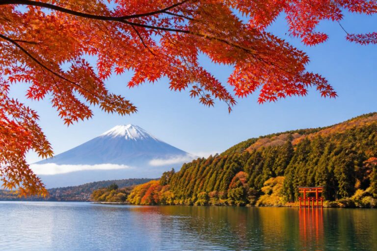 紅葉狩りにお弁当の持ち込みは可能？場所ごとの確認ポイントは？