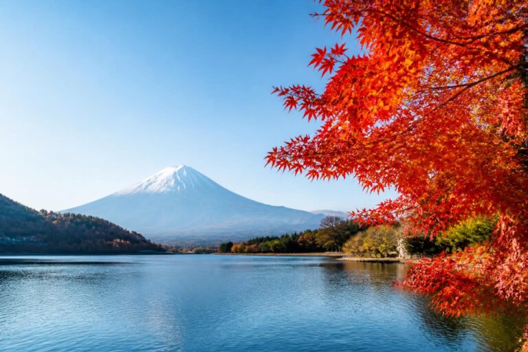 関東の紅葉ライトアップは何時から何時まで？