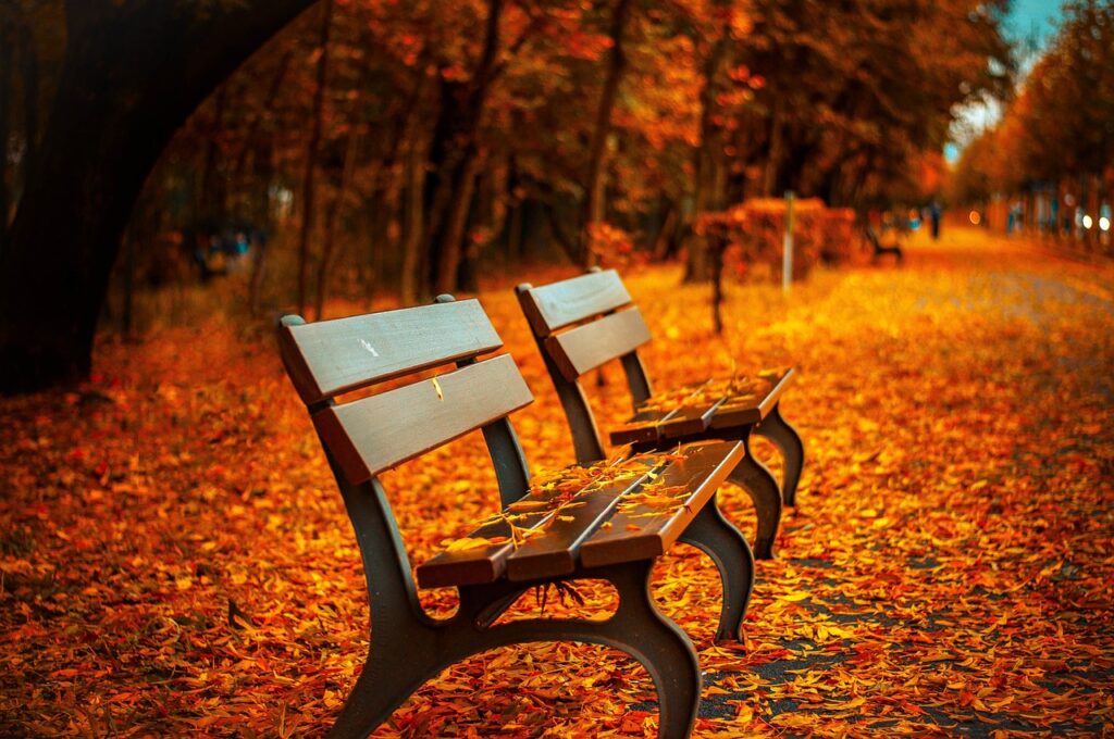 関東の紅葉の自然の見どころはどこ？