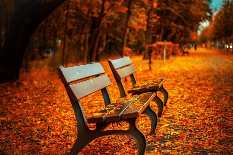 関東の紅葉の自然の見どころはどこ？