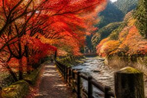 紅葉狩りの靴の選び方は？