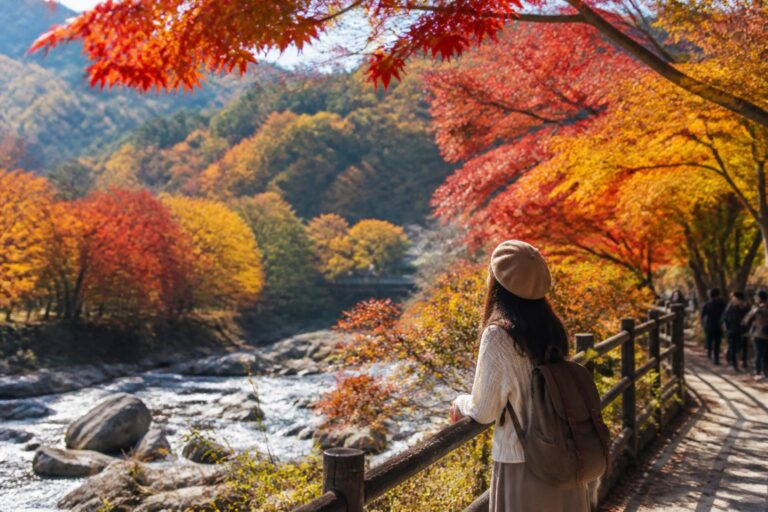 関東の紅葉と夜景を楽しめるスポットは？
