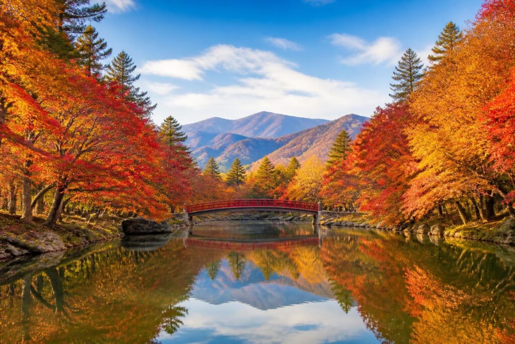 紅葉狩りで子どもが退屈しないための対策は？