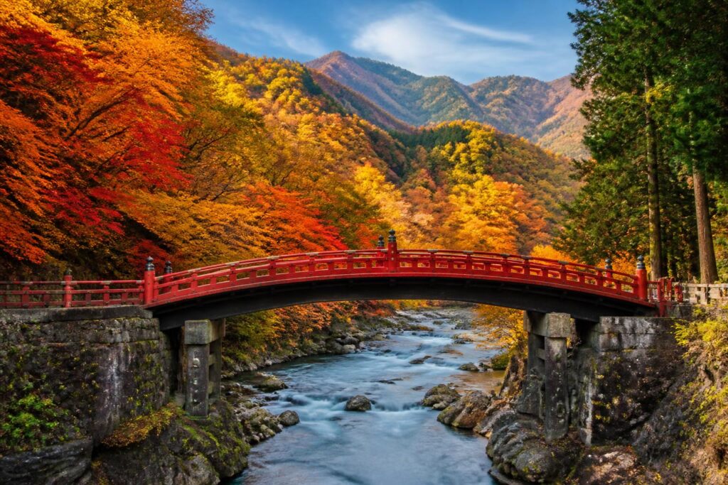 紅葉狩りで階段が少ない場所は？