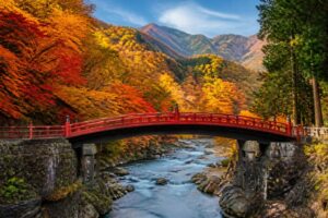 紅葉狩りの食事で混雑を避けるにはどうすればいい？